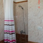Shower and toilet