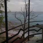 View on the beach from your balcony